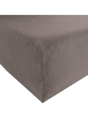 Erwin Müller Single-Jersey Spannbettlaken Regensburg in braun