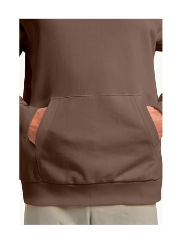 Jack Wolfskin Sweatshirt in Braun