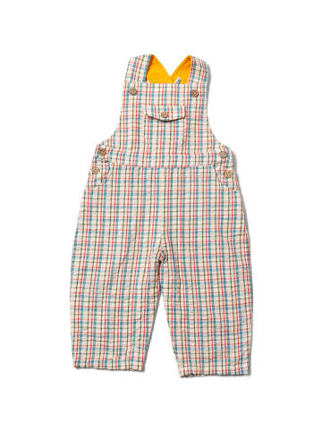 Little Green Radicals Pocket Dungaree Shorts in Bunt