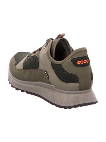 Ecco Sportliche Schnürschuhe in Grün