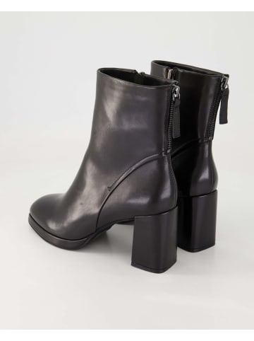 Terry Klassische Stiefeletten in Schwarz