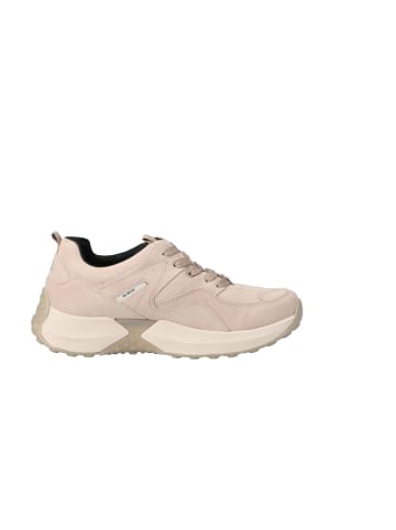 Gabor Lowtop Sneaker Gabor Lowtop Sneaker in beige