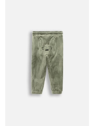 Coccodrillo Jogginghose in khaki