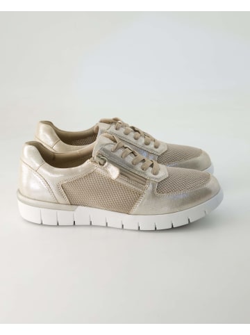 Terry Sportliche Schnürschuhe in Beige