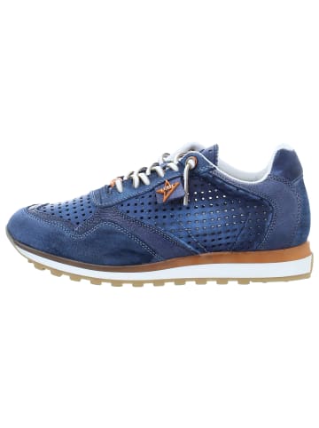 Cetti Sneaker Low in blau