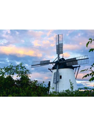 Ravensburger Ravensburger Puzzle 1.000 Teile Windmühle bei Retz in bunt