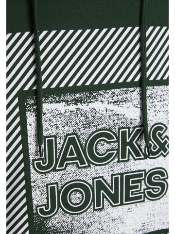 Jack & Jones Hoodie 'Stein' in dunkelgrün