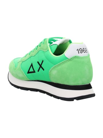 Sun68 Sneaker Low in Grün