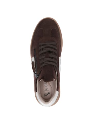 Caprice Sneaker in DK BROWN COMB