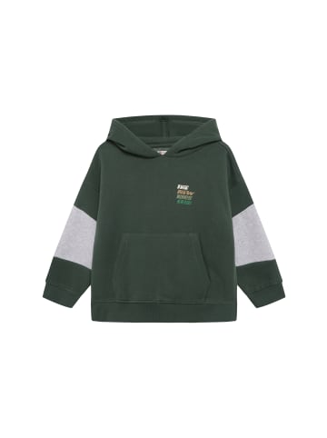 Noppies Sweater Hoodie in Garden Topiary