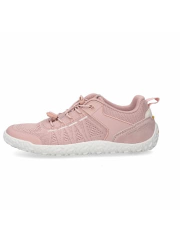 Camel Active Sneaker in rosa