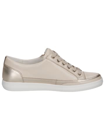Caprice Sneaker in CREAM COMB