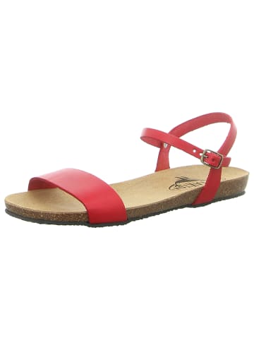 Plakton Sandalen in rot