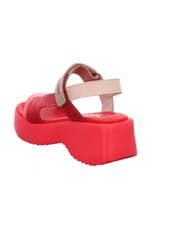 Wonders  Plateau Sandaletten in Rot