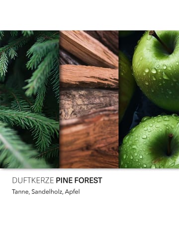 Candle Brothers Candle Brothers Duftkerzen "Pine Forest"