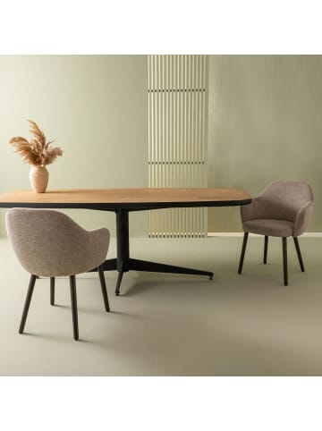 Signature Bridge Sessel ERNEST 6er Set in Mol - (W) 51  x (H) 77  x (L) 52  cm