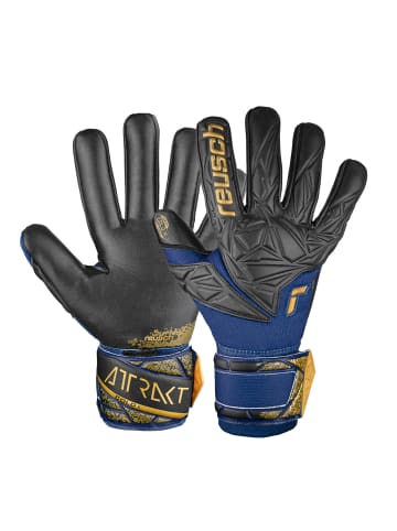 Reusch Torwarthandschuh Attrakt Gold X NC in 4411 premium blue/gold/black