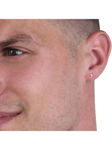 Amor Ohrstecker Gold 375/9 ct in Gold