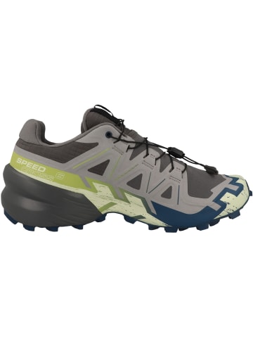 SALOMON Laufschuhe Speedcross 6 GTX in grau