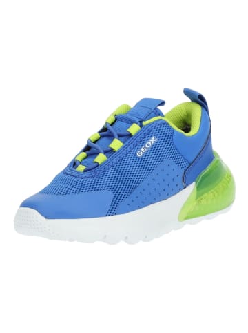 Geox Sneaker in Blau/Grün