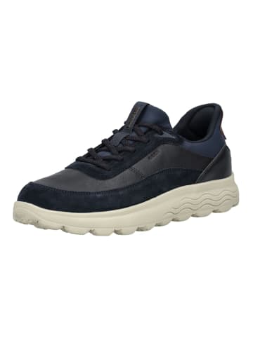 Geox Sneaker in Navy