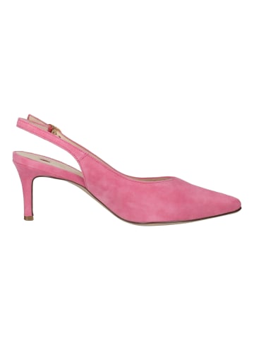 Högl Pumps in Rosa