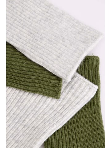 Coccodrillo Socken in bunt