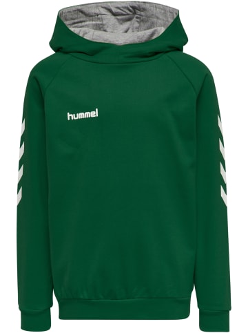 Hummel Hummel Kapuzenpullover Hmlgo Kinder in EVERGREEN