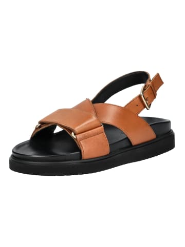 Pavement Sandalen in Tan
