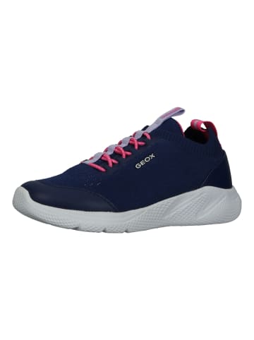 Geox Sneaker in Navy