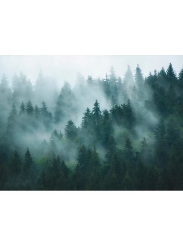 A.S. Création Tapete Into the Woods in Nebelgrün