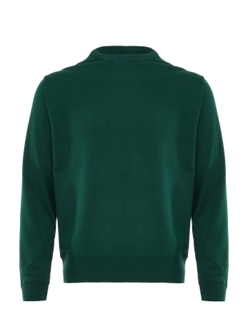 Sidona Damen Pullover in Grün