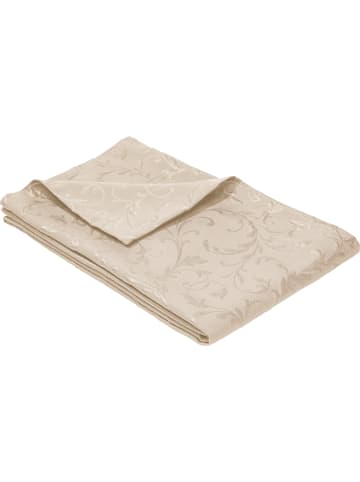 Erwin Müller Sessel- und Sofaschoner in ecru