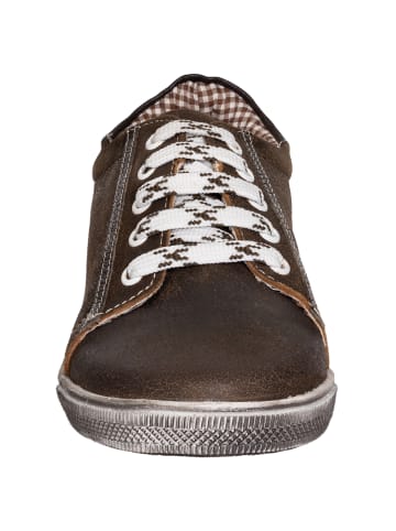MADDOX Sneaker VALENTINA in dunkelbraun