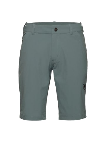 Mammut Shorts in Blaugrau