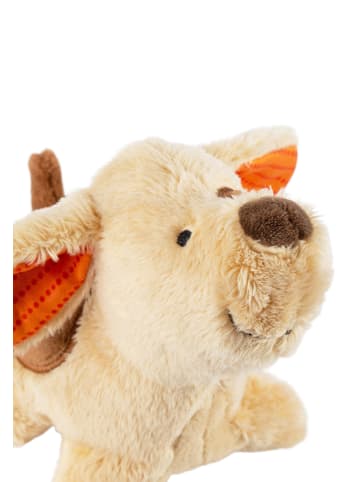 Sigikid Mini Spieluhr Hund sigibaby in beige