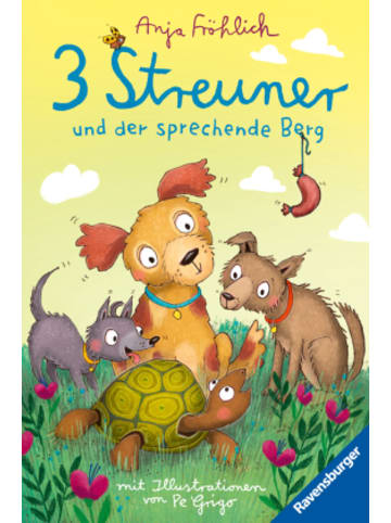 Ravensburger Verlag GmbH Buch - 3 Streuner und der sprechende Berg