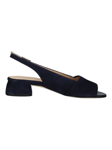 PETER KAISER Pumps in Notte