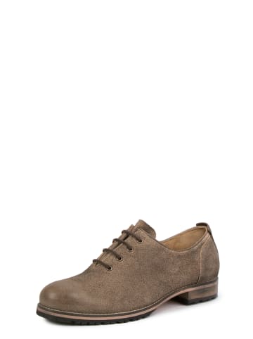 Stockerpoint Stockerpoint Trachtenschuh, moderner Trachtenschuh, Lederschuh, Wildlederschuh Caruso in nuss gespeckt