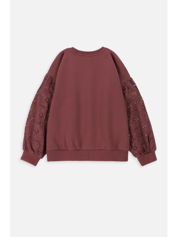 Coccodrillo Sweatshirt in dunkelrot