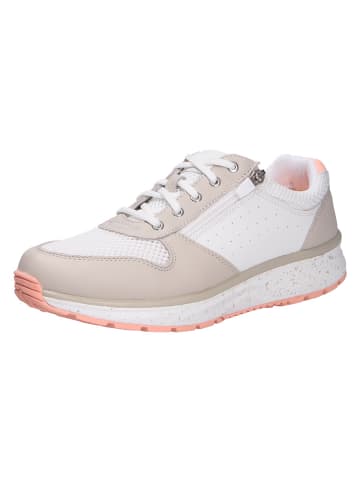 Joya Schnürschuh DYNAMO ZIP W WHITE/BEIGE in beige