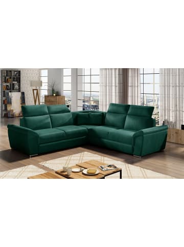 MF Design Fredo in Flaschengrün -  (L) 266 x (B) 266 x (H) 102 cm