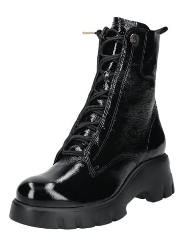 Paul Green Stiefelette in Schwarz Lack