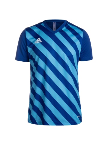 adidas Performance Trikot Entrada 22 in blau / hellblau