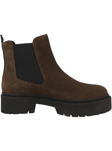 Steve Madden Chelsea Boots Glennis in dunkelbraun