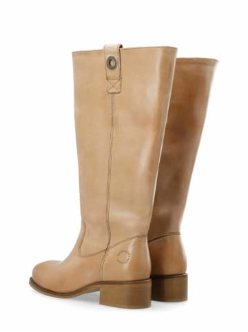 Cashott Stiefel CASVILMA in Dark Tan