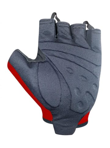 Chiba Gel Evolution - Radhandschuhe