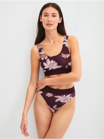 Calida Bustier in black cherry