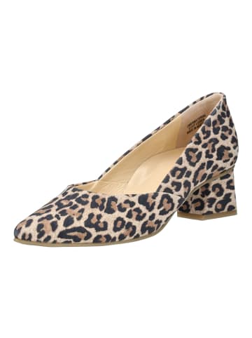 Paul Green Pumps in Leopard