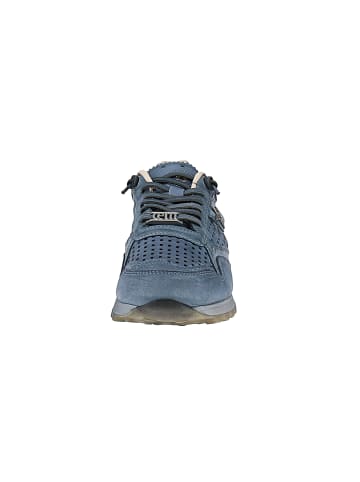 Cetti Sneaker low C-848 V26 in Blau